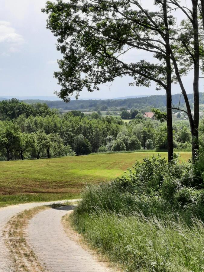 Fewo Zieger - Urlaub In Franken Buttenheim Esterno foto