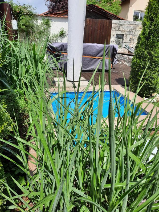 Fewo Zieger - Urlaub In Franken Buttenheim Esterno foto